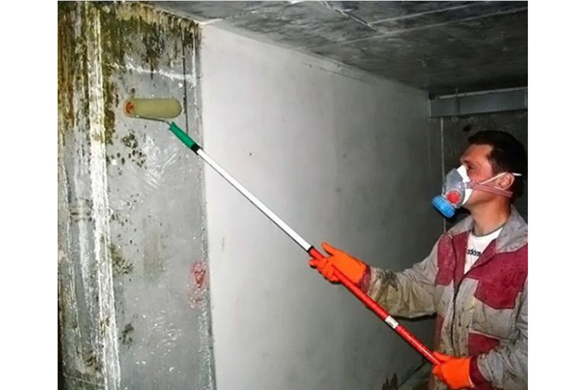 a person applying a mold removing solution with a roller on a wall.