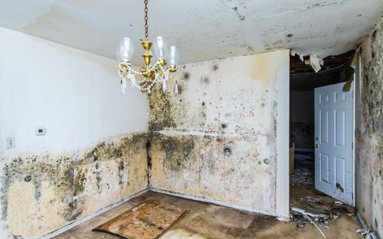 a picture taken of a room that has mold on walls.