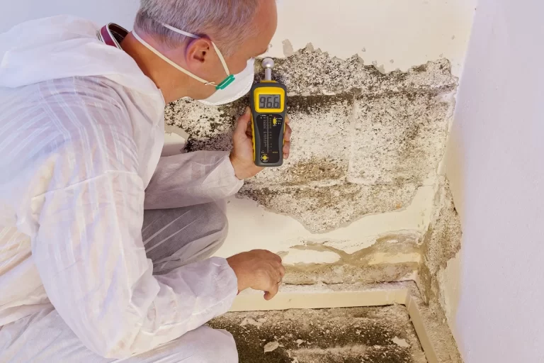 a mold inspector testing mold on a wall with a mold testing meter. 966 reading on meter.