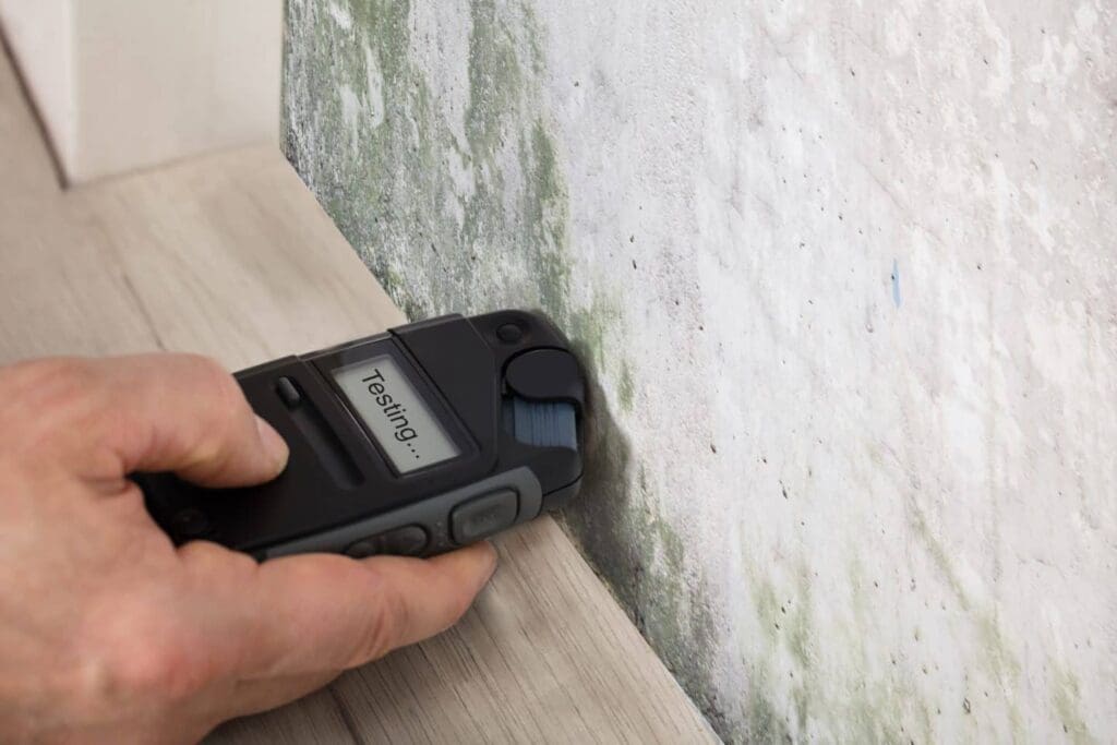 close shot of a mold testing meter in hand, testing mold on a wall.