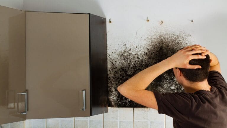 a person looking at black mold and both hand on his head, looking worried