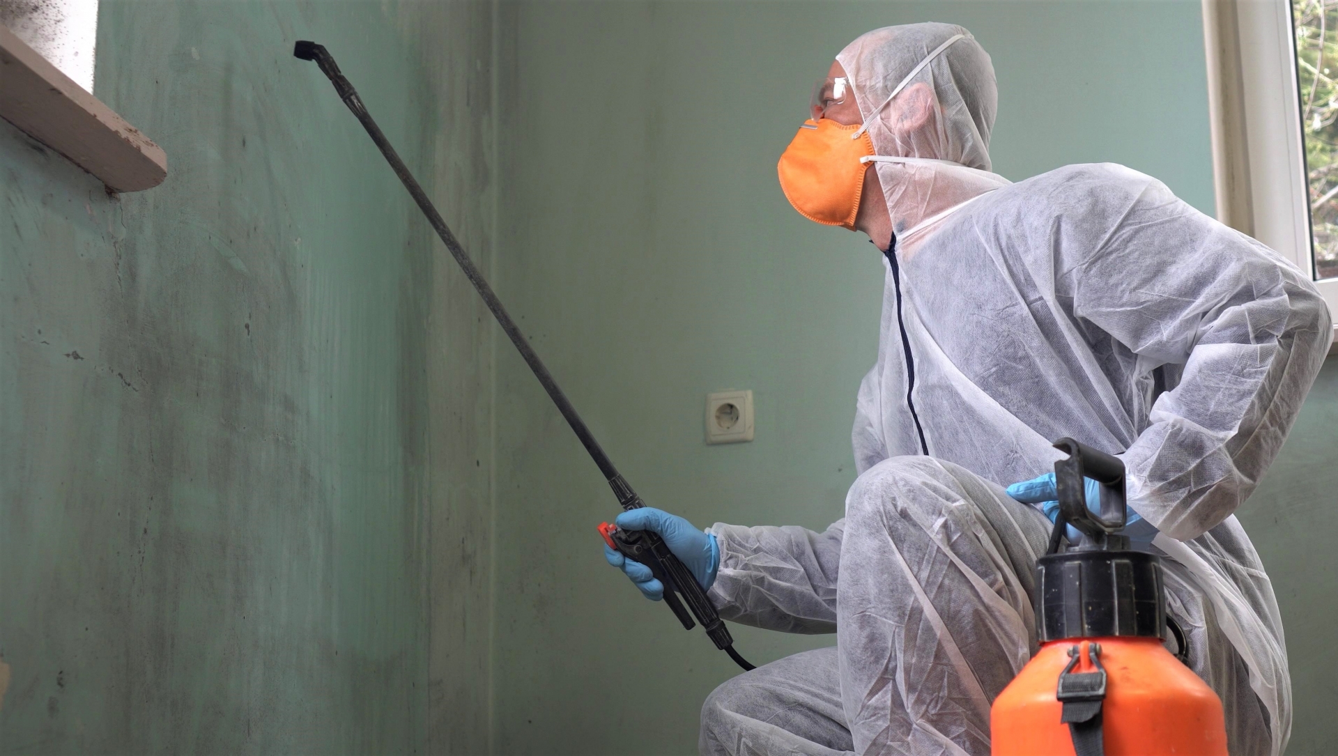 a mold remediation expert spraying mold removal solution on a wall to remove mold.