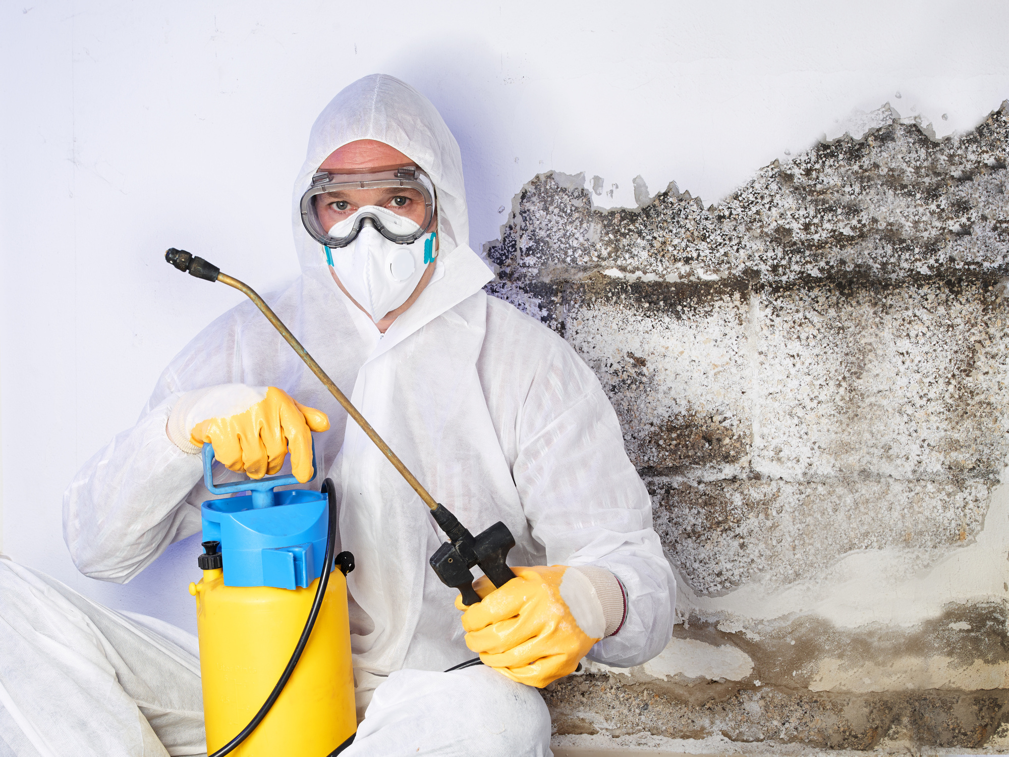mold removal expert with protective gear and spraying machine in his hand. mold can also seen in background on the wall.