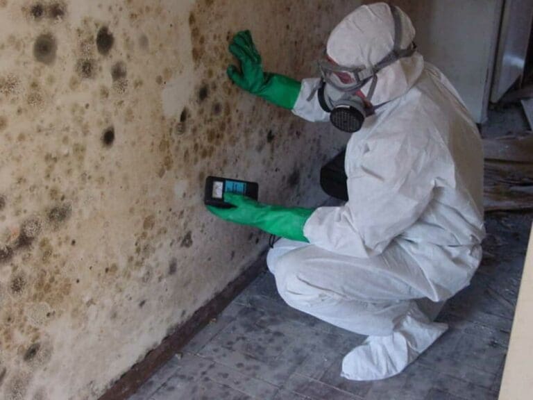 a mold inspector wearing protective gear and testing mold on the basement wall.