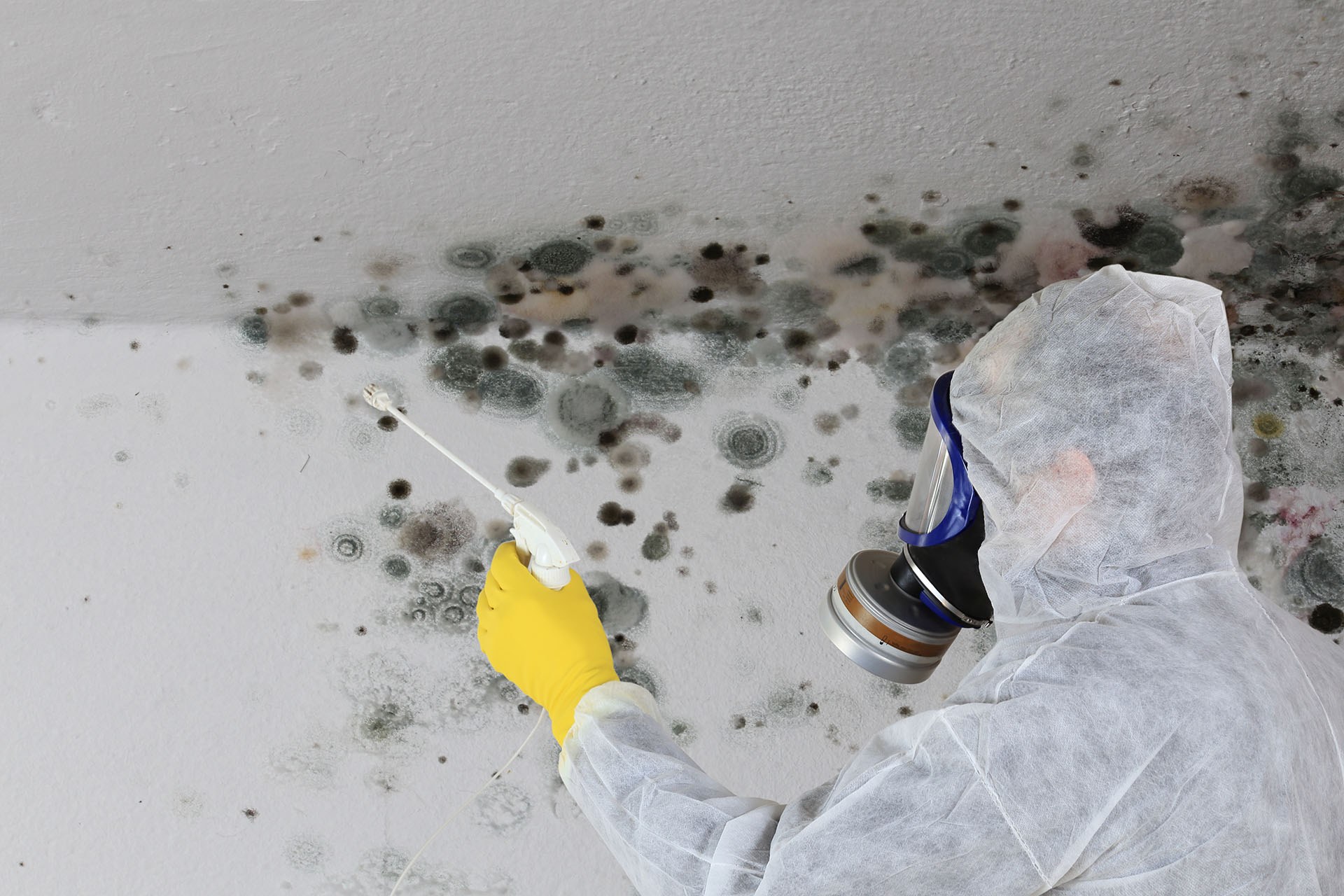a mold inspector wearing protective gear and spraying mold removal solution on a wall full of mold.