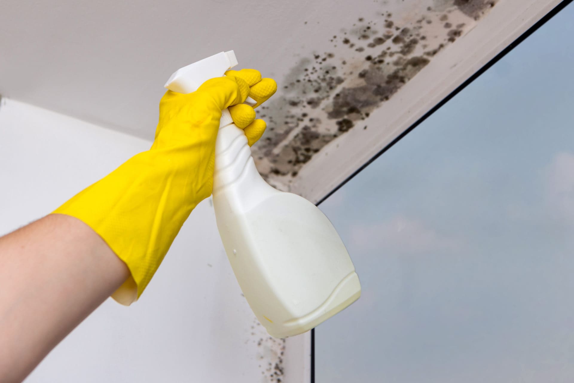close shot of a hand wearing yellow glove holding a spray bottle, spraying mold removal solution on the side of the roof.