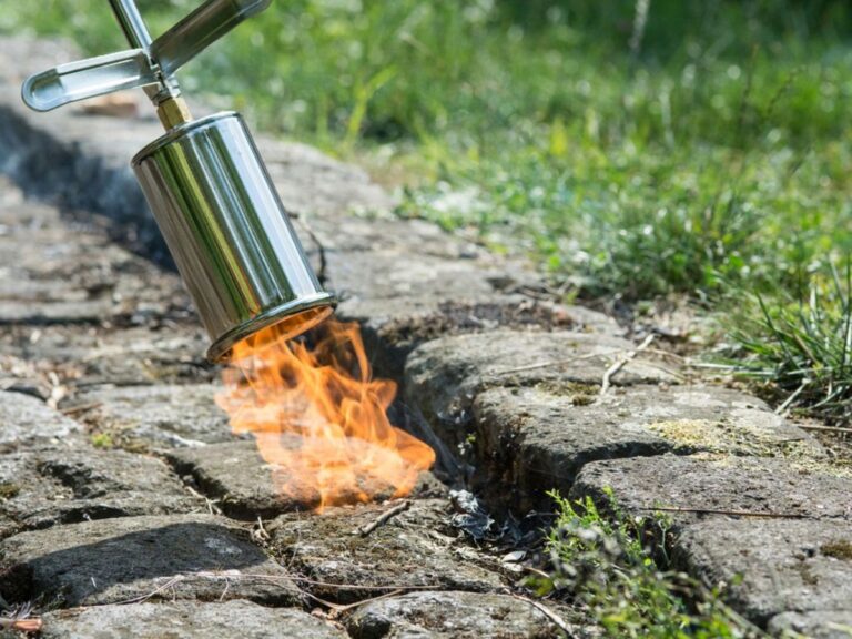 flaming mold on the floor with flame gun.