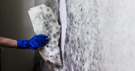 close shot of a hand removing mold damaged paint from a wall.