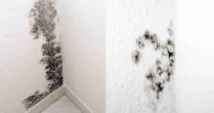picture of a black mold on wall.