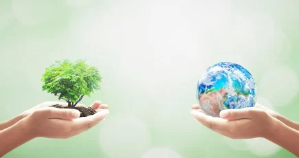 A tree in hands and on the right side globe is in hands.