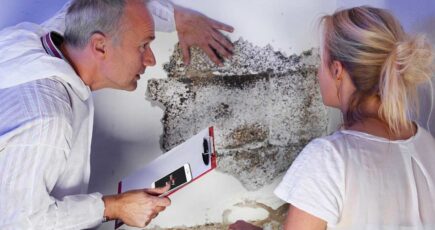 mold inspector and a woman sitting, inspector have a notepad in his hand and second hand on wall with mold, seems like he is discussing mold removal details with the home owner woman.