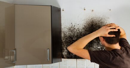 a person looking at black mold and both hand on his head, looking worried